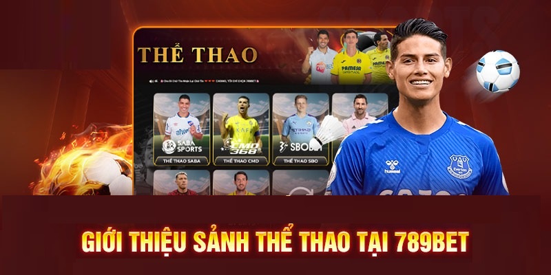 Thể Thao 789BET: Nơi Hội Tụ Đỉnh Cao Cảm Xúc.